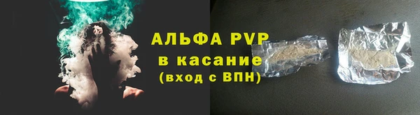 сатива Лабытнанги
