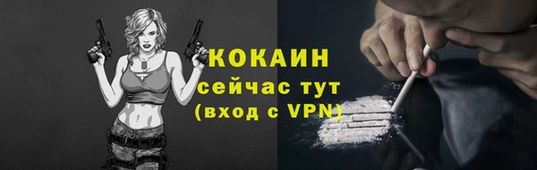 твердый Липки