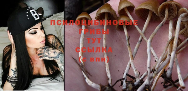 сатива Лабытнанги