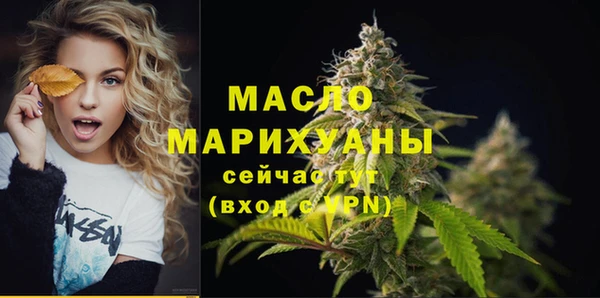 сатива Лабытнанги