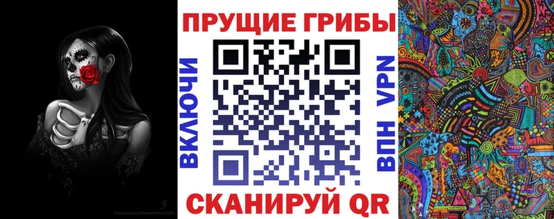 Купить закладки  Камбарка  Галлюциногенные грибы Cubensis 